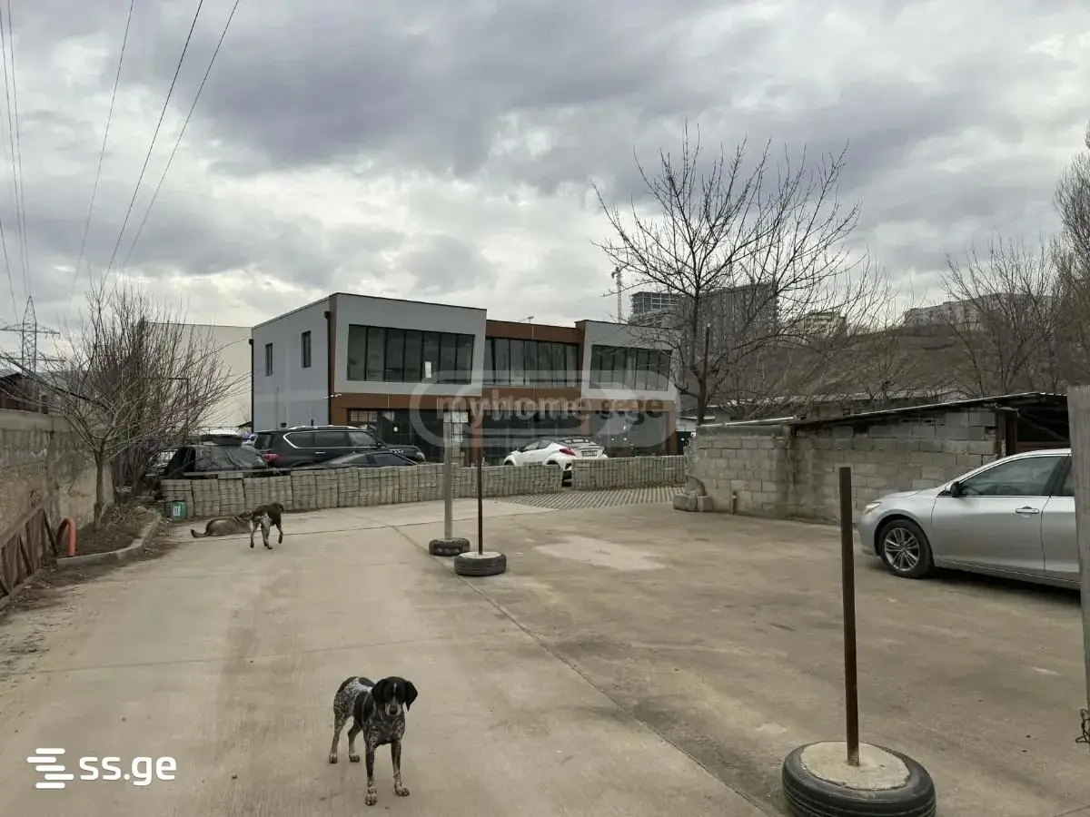 For Rent Universaluri Commercial Space Dighmis Masivshi view 2