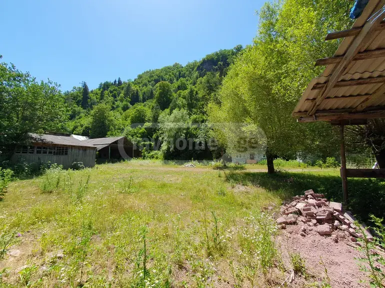 For Sale Ara Sasoplo-Sameurneo Land Plot Borjomshi view 2