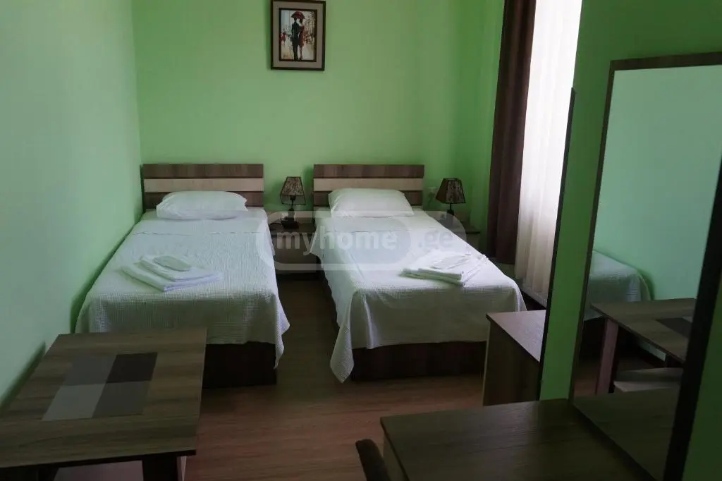 Daily Rent 10+ Room Private House In Batumi view 5
