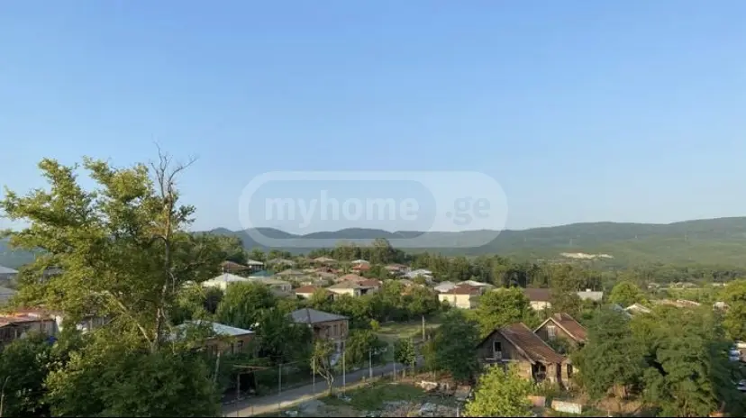 Аренда 3-комната Квартира в Tsqaltuboshi view 10