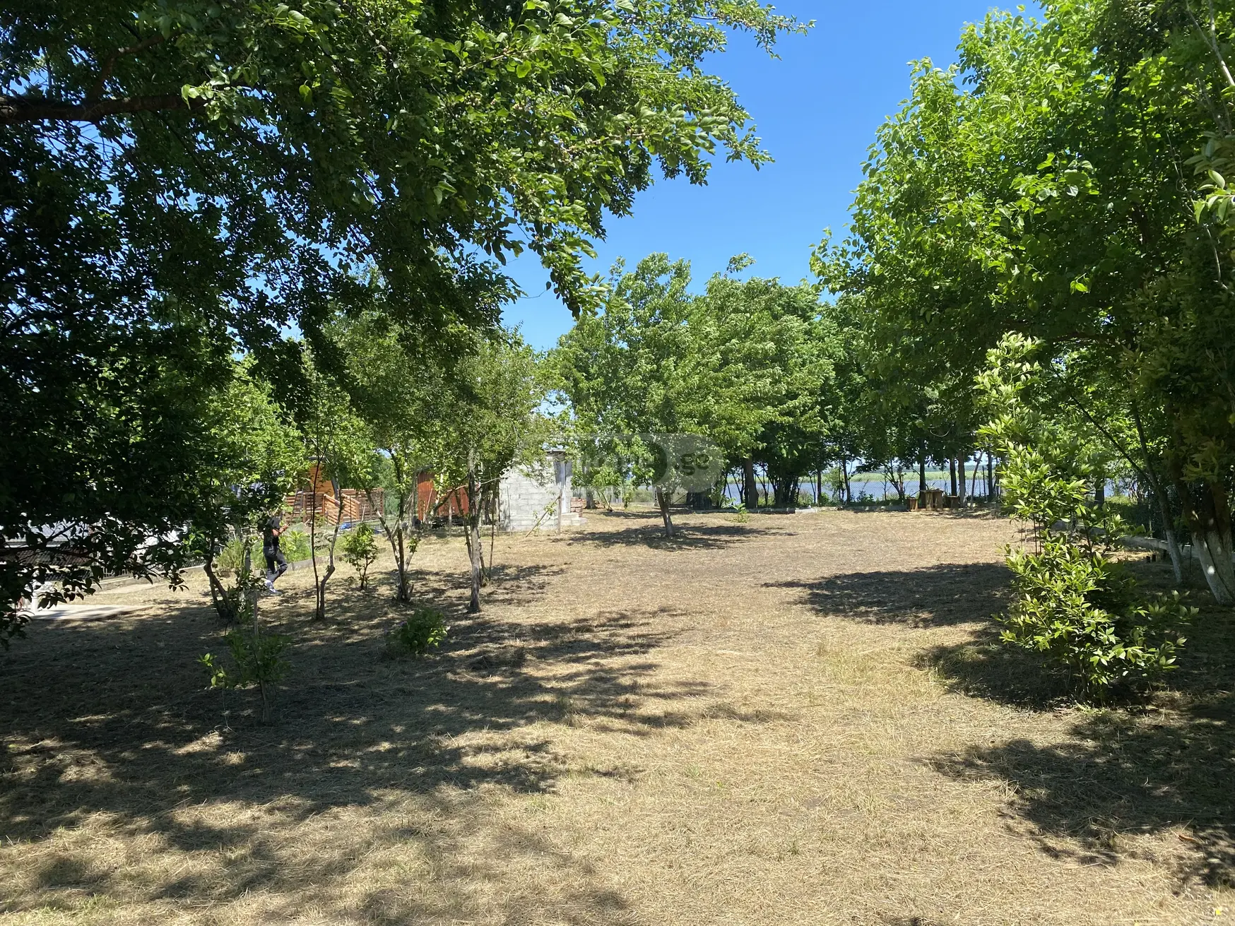 For Sale Ara Sasoplo-Sameurneo Land Plot Potshi view 11