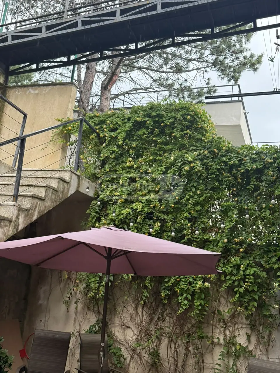 For Sale 7 Room Country House Tsqnetshi view 11