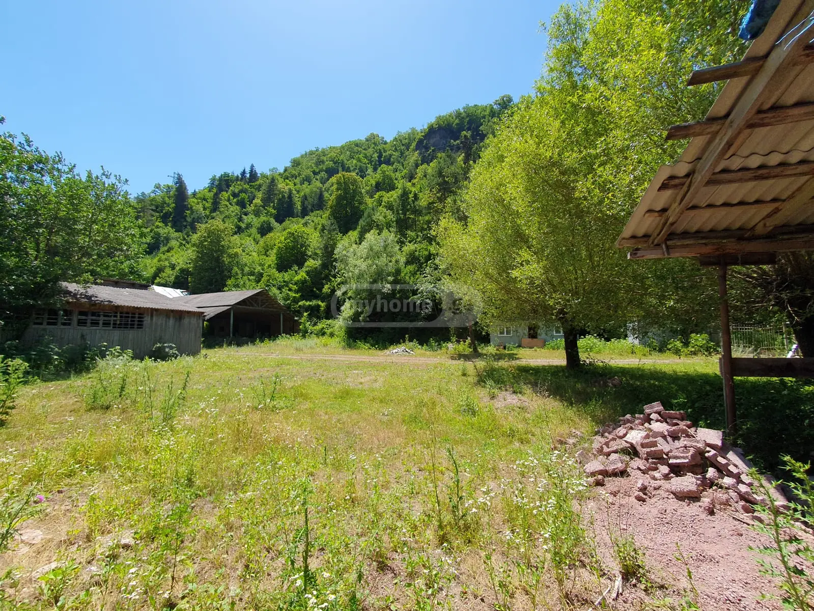 For Sale Ara Sasoplo-Sameurneo Land Plot Borjomshi view 2