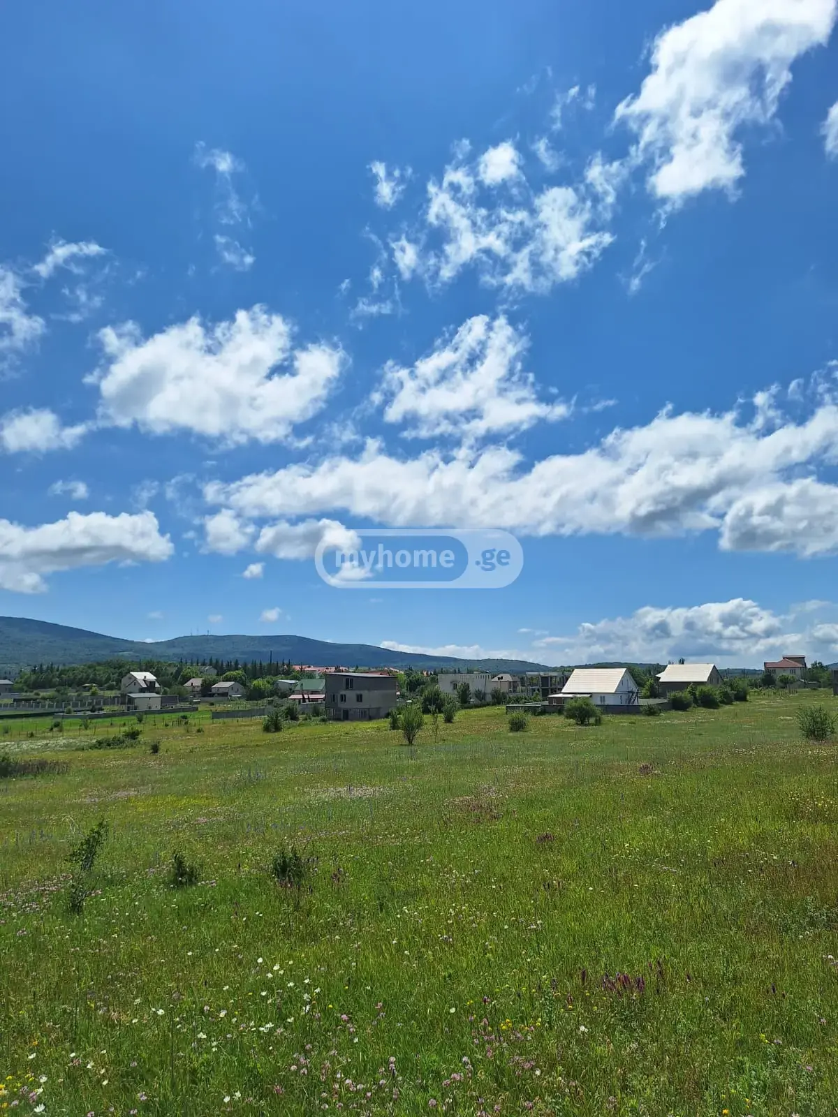 For Sale Sasoplo-Sameurneo Land Plot Dushetis Munitsipalitetshi view 4