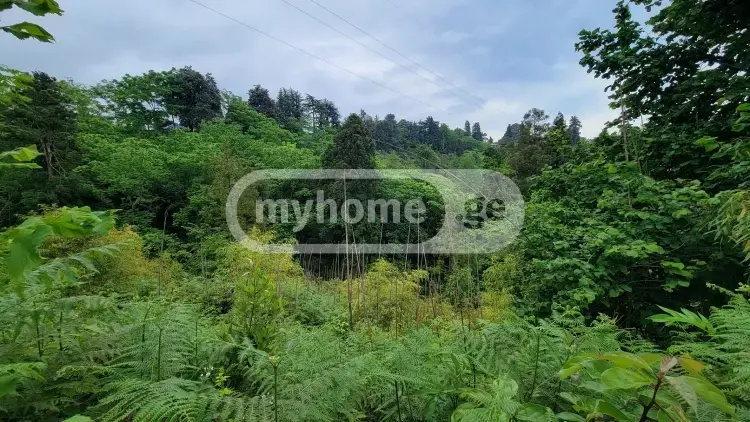 Продажа Земля / участок в Kobuletis Munitsipalitetshi view 5