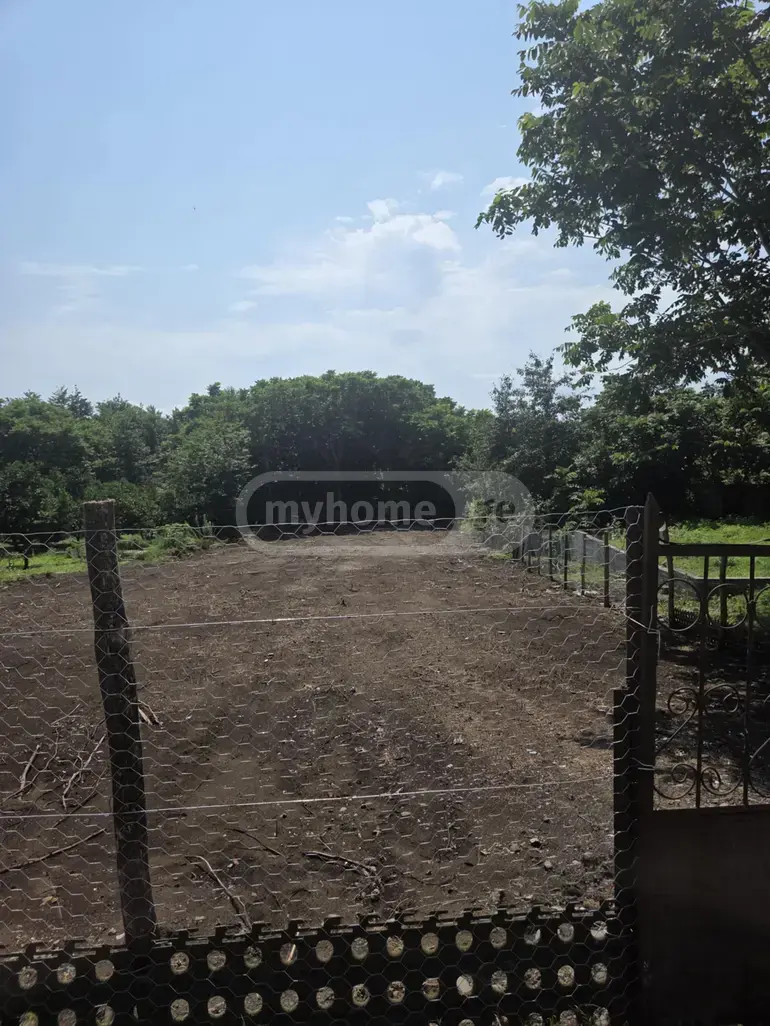 იყიდება მიწა / ნაკვეთი Lanchkhutis Munitsipalitetshiში view 6