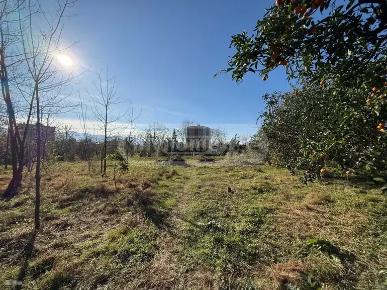 For Sale Sasoplo-Sameurneo Land Plot In Batumi view 3