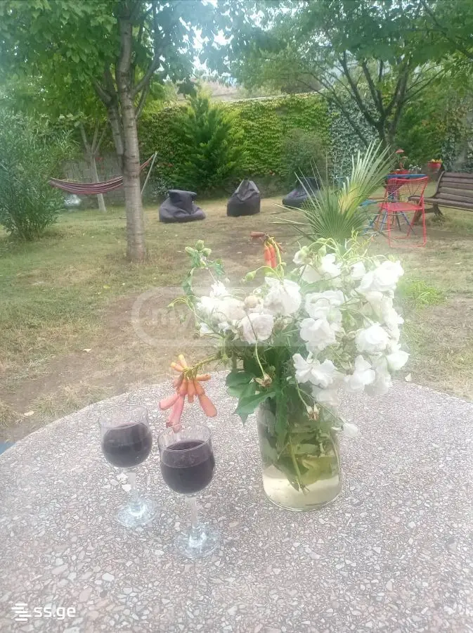 For Rent 5 Room Country House Mtskhetis Munitsipalitetshi view 4
