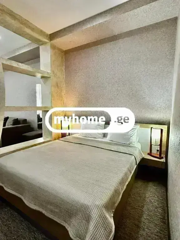 For Rent 10+ Room Sastumro In Didi Dighomi, 2 of 9