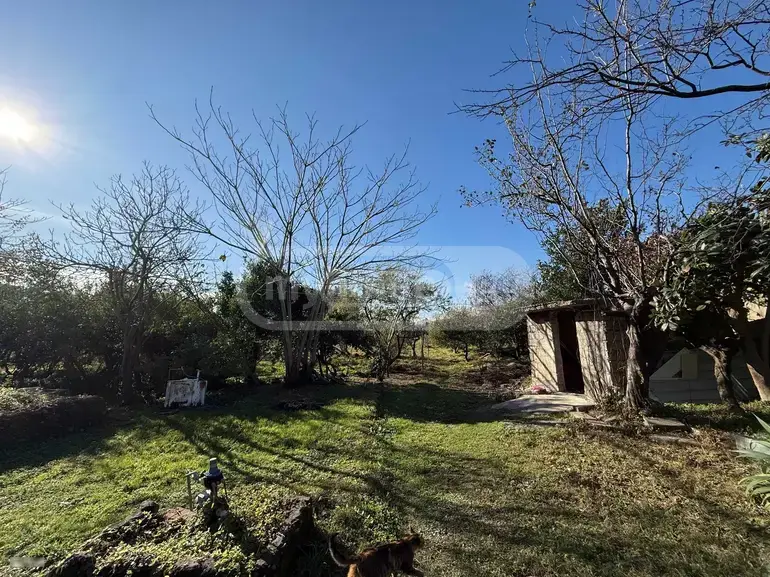 For Sale Sasoplo-Sameurneo Land Plot In Batumi view 6