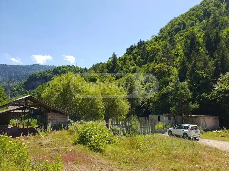 For Sale Ara Sasoplo-Sameurneo Land Plot Borjomshi view 1