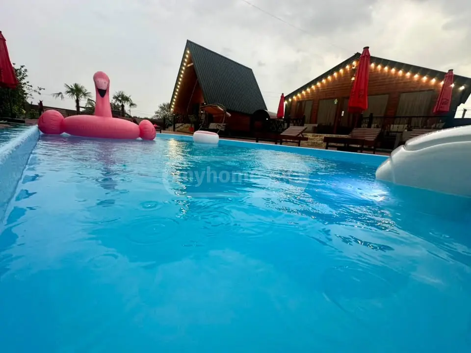 Daily Rent 1 Room Country House Dushetis Munitsipalitetshi view 3