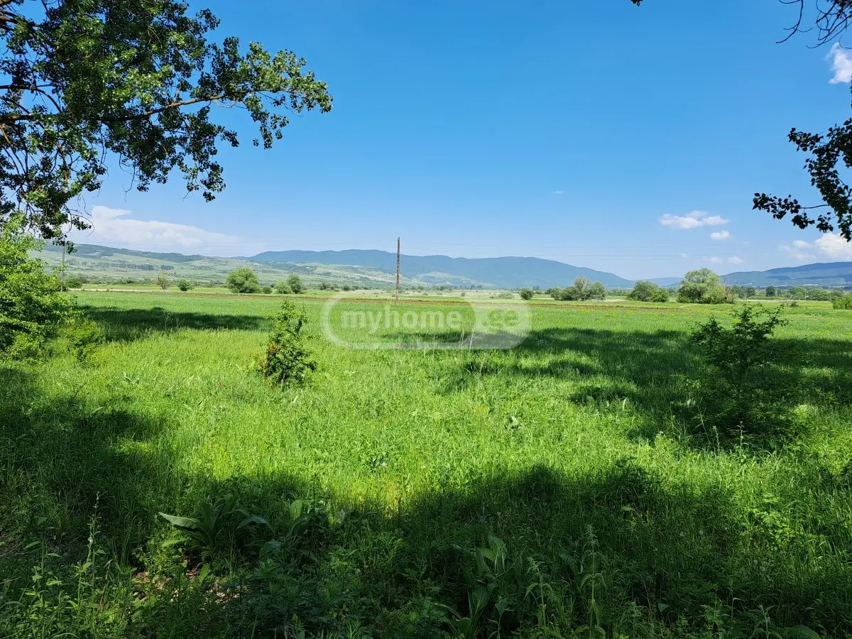 იყიდება მიწა / ნაკვეთი Tianetis Munitsipalitetshiში view 3