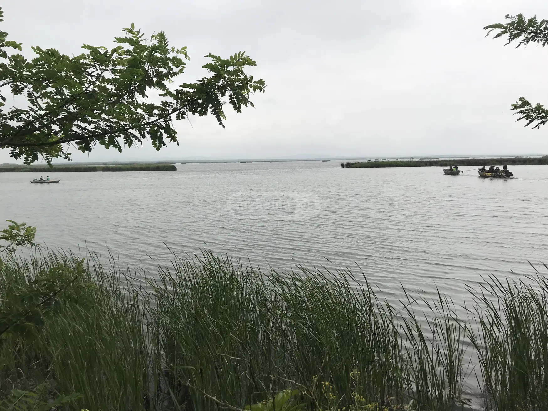 For Sale Ara Sasoplo-Sameurneo Land Plot Potshi view 1