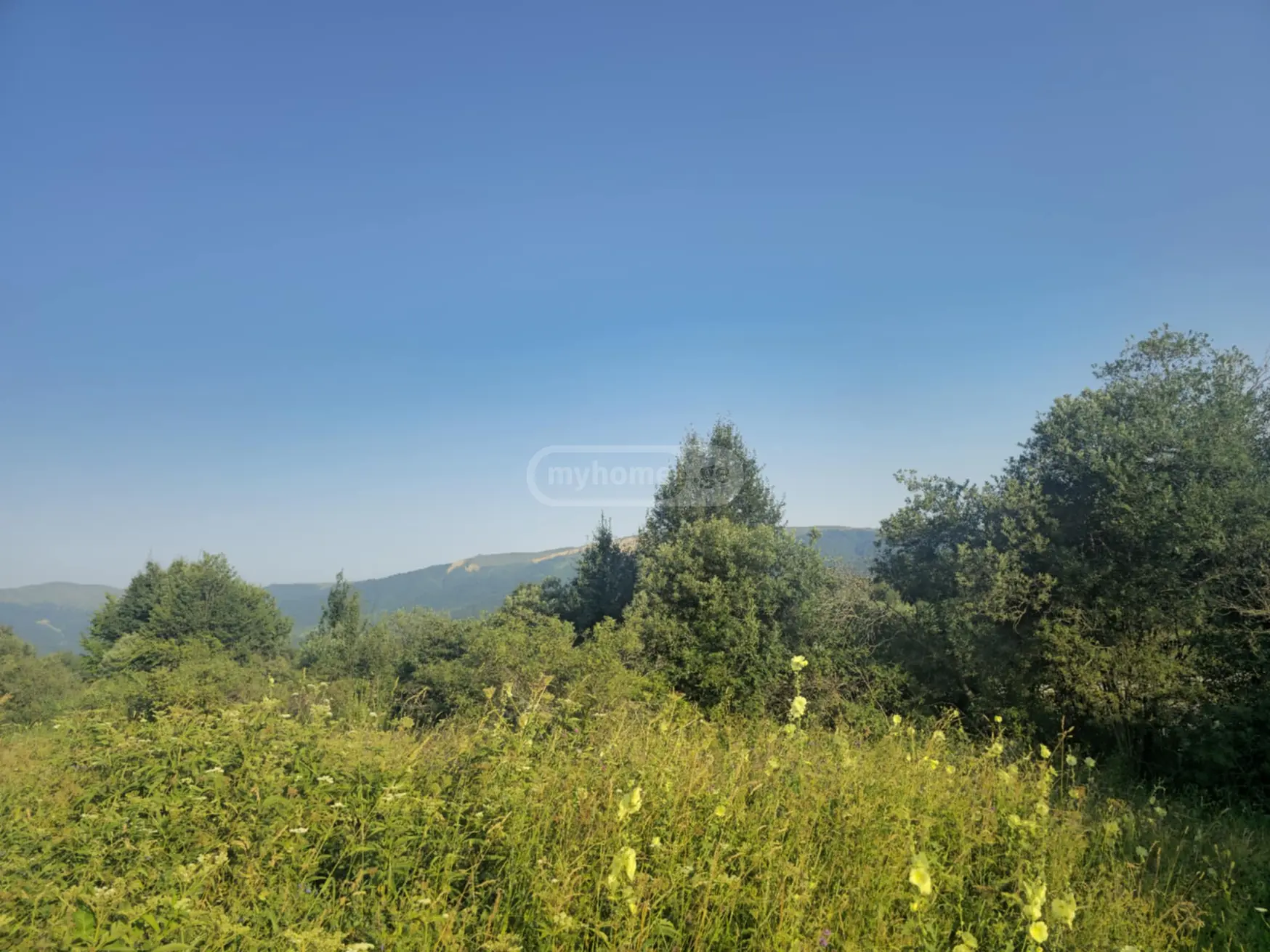 For Sale Sasoplo-Sameurneo Land Plot Telavis Munitsipalitetshi view 5