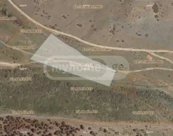 For Sale Sasoplo-Sameurneo Land Plot In Vake view 1