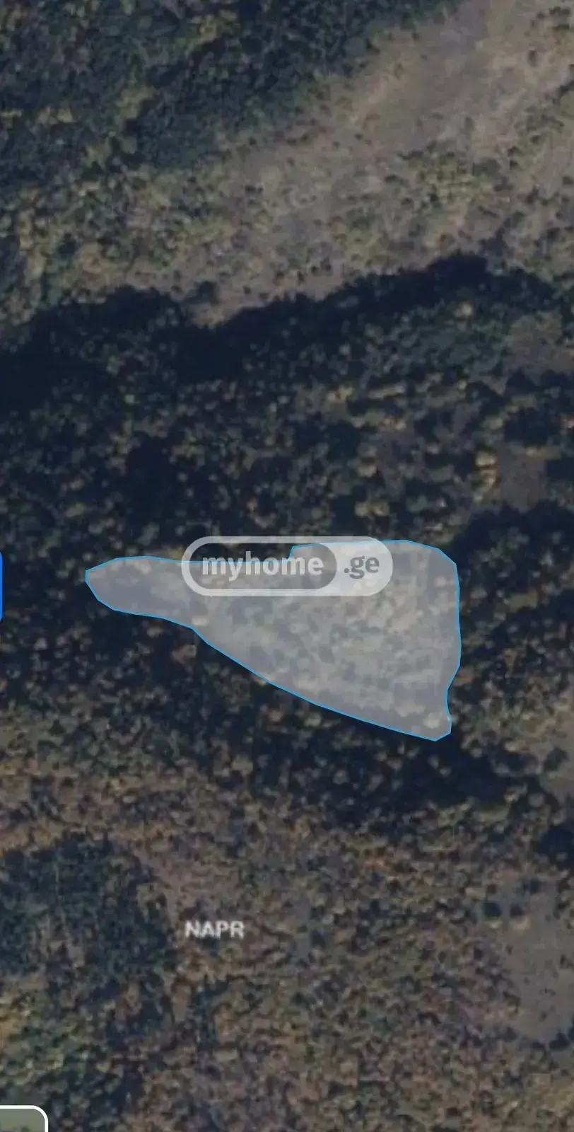For Sale Sasoplo-Sameurneo Land Plot Borjomis Munitsipalitetshi view 1
