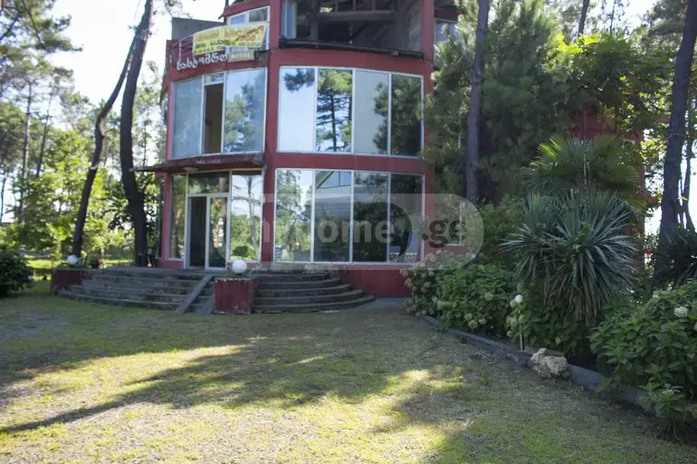 For Sale 10+ Room Sastumro Lanchkhutis Munitsipalitetshi view 2