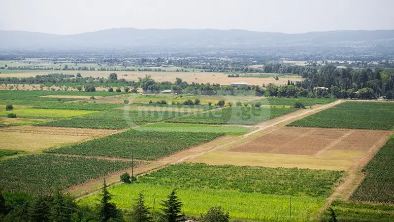 Продажа Земля / участок в Tetritsqaros Raionshi view 1
