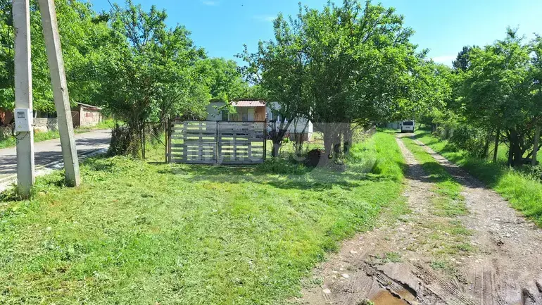 Продажа 2-комната Частный дом в Tianetis Munitsipalitetshi view 2