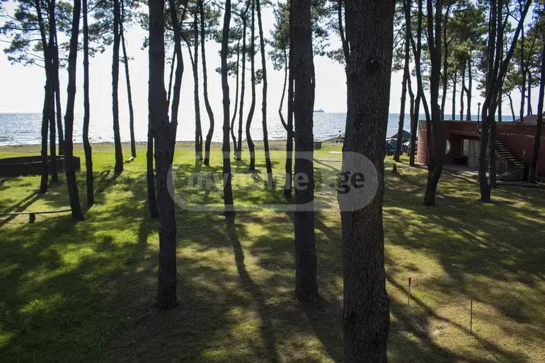 For Sale 10+ Room Sastumro Lanchkhutis Munitsipalitetshi view 9