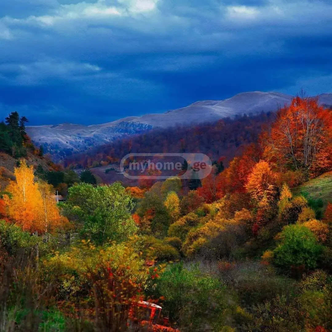 For Sale 5 Room Country House Kaspshi view 1