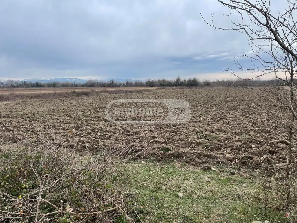 For Sale Sasoplo-Sameurneo Land Plot Tsqaltuboshi view 1