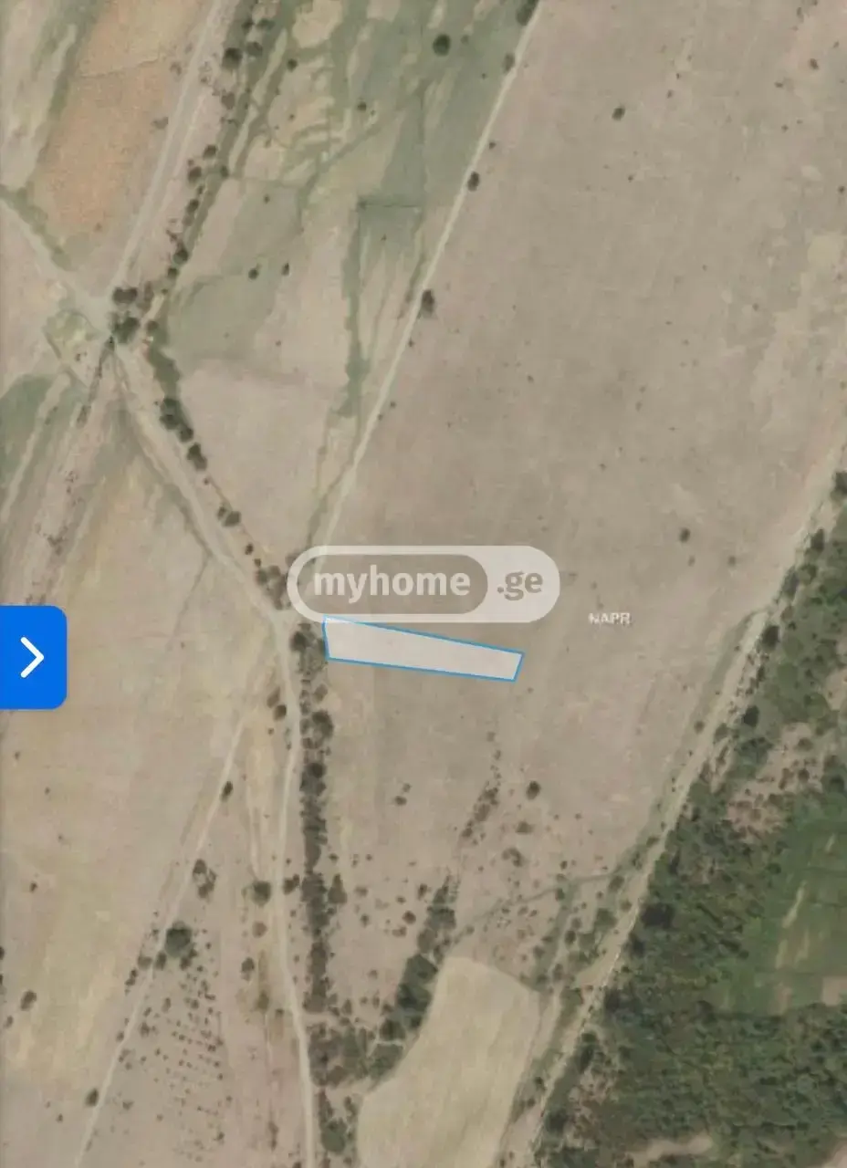 For Sale Sasoplo-Sameurneo Land Plot Gardabnis Munitsipalitetshi view 1