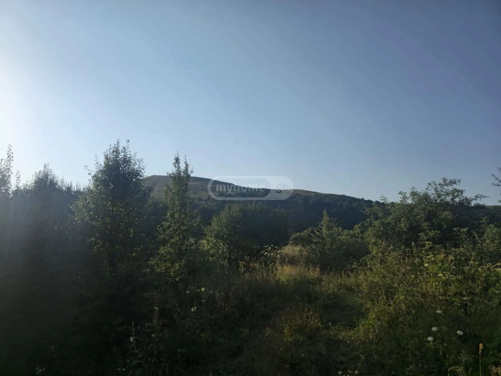 For Sale Sasoplo-Sameurneo Land Plot Telavis Munitsipalitetshi view 2