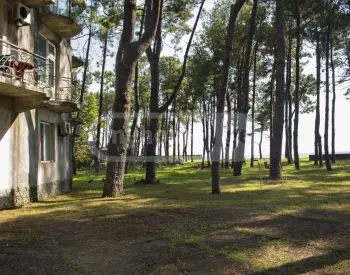 For Sale 10+ Room Sastumro Lanchkhutis Munitsipalitetshi view 6