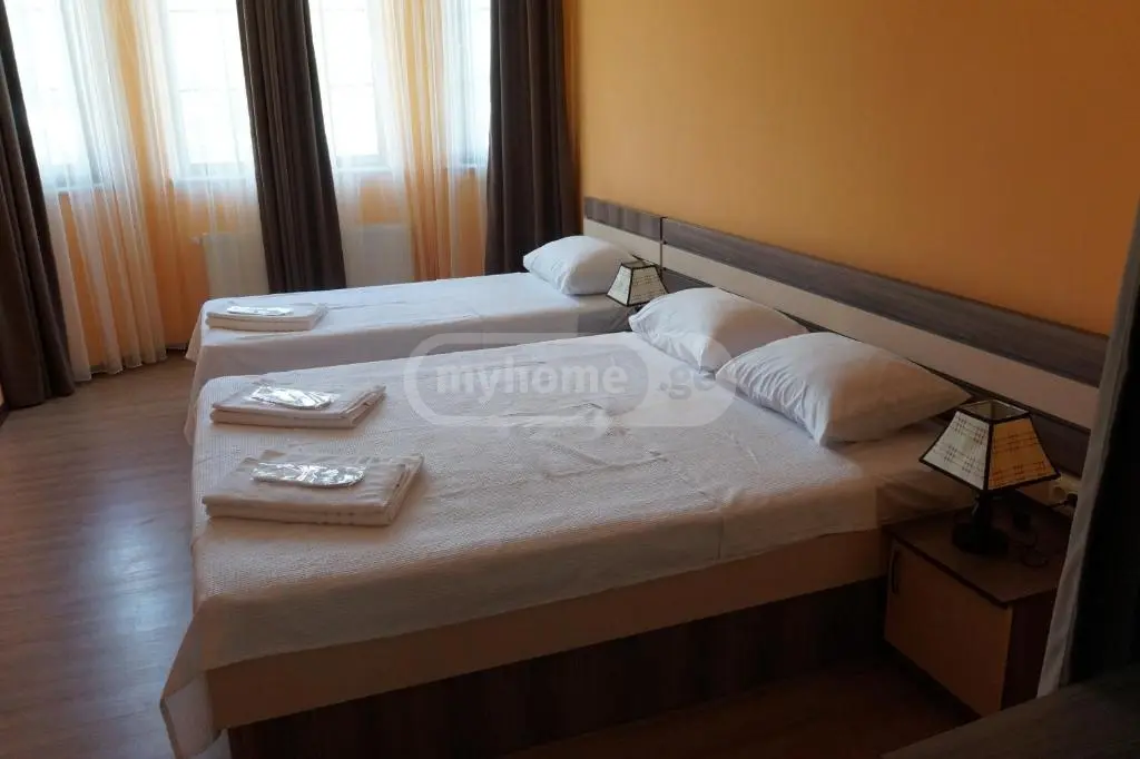 Daily Rent 10+ Room Private House In Batumi view 4