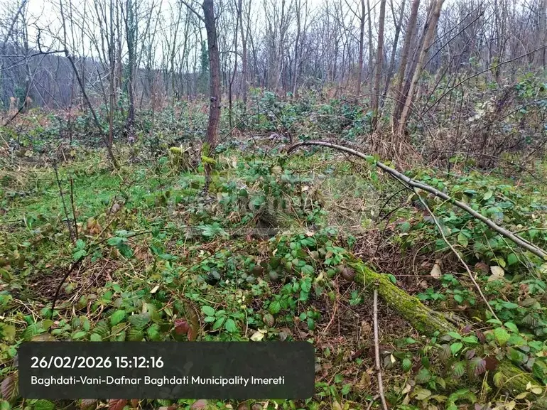 Продажа Земля / участок в Baghdatshi view 2