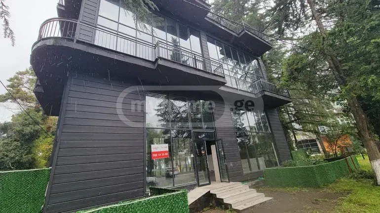 For Sale Universaluri Commercial Space Kobuletshi view 5