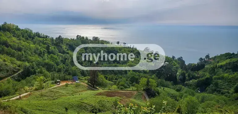 იყიდება მიწა / ნაკვეთი Khelvachauris Munitsipalitetshiში view 2