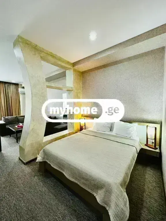 For Rent 10+ Room Sastumro In Didi Dighomi, 1 of 9