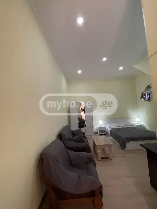 1 Room Flat For Rent. Chugureti view 8