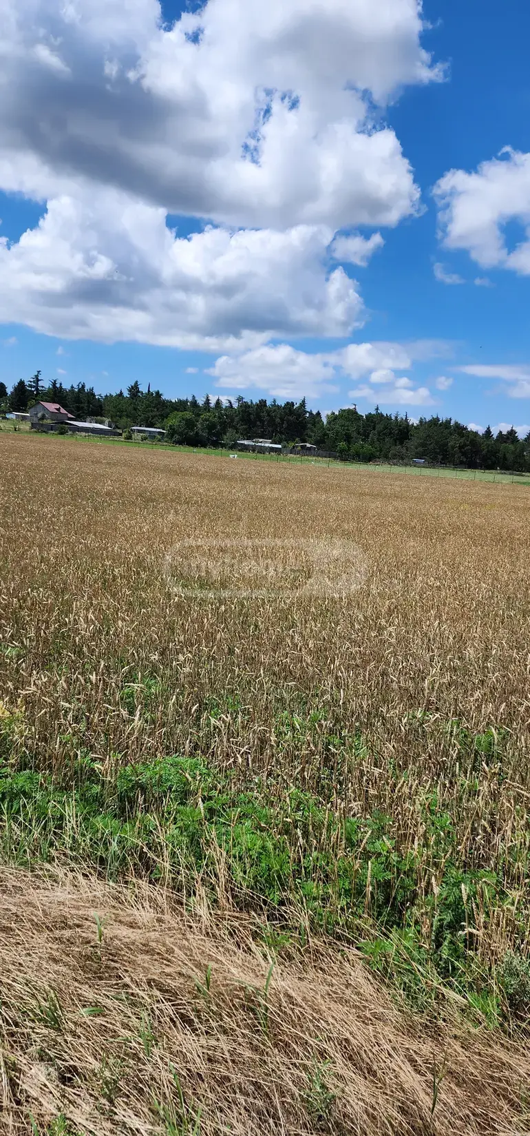 For Sale Universaluri Commercial Space Dighmis Masivshi view 5