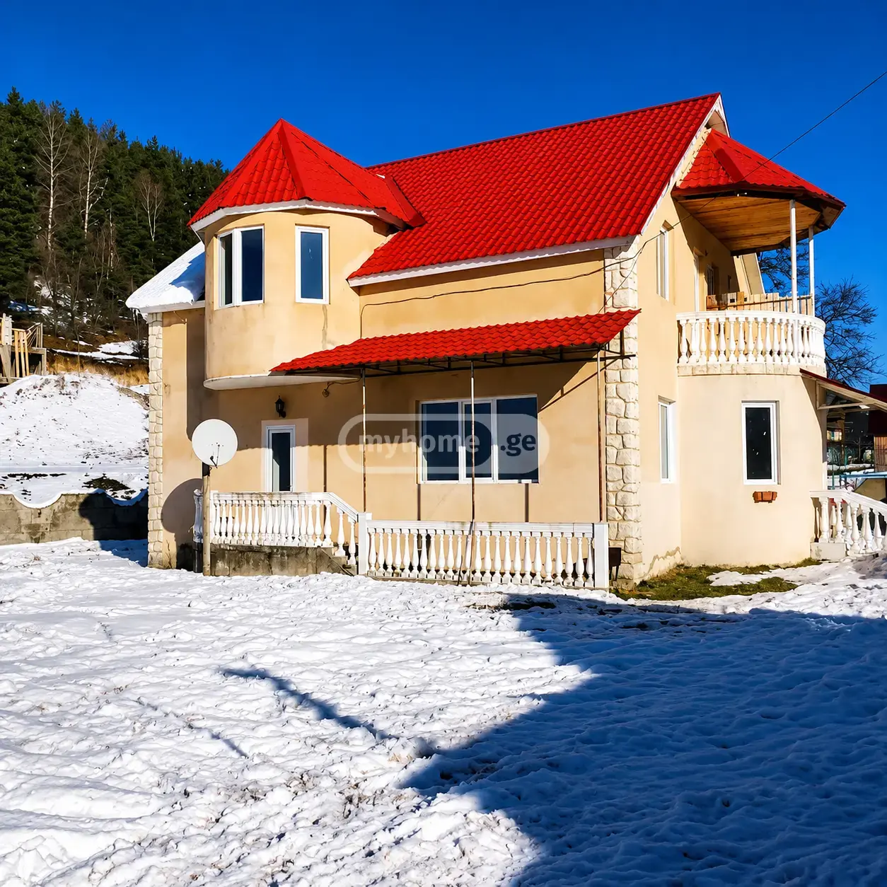 Продажа 8-комната Частный дом в Bakurianshi view 1