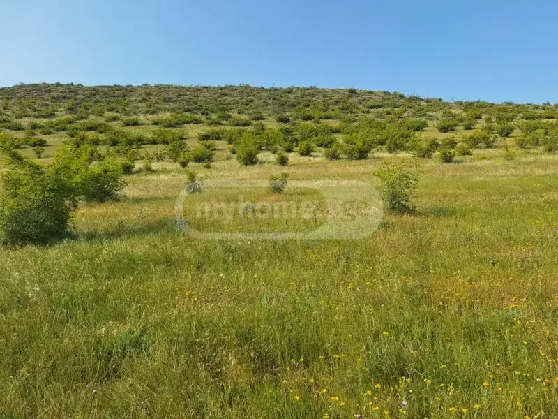 იყიდება მიწა / ნაკვეთი Gardabnis Munitsipalitetshiში view 1