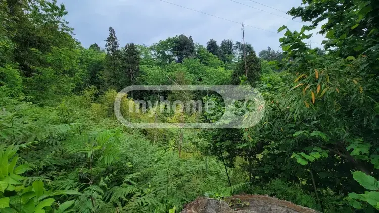 Продажа Земля / участок в Kobuletis Munitsipalitetshi view 2