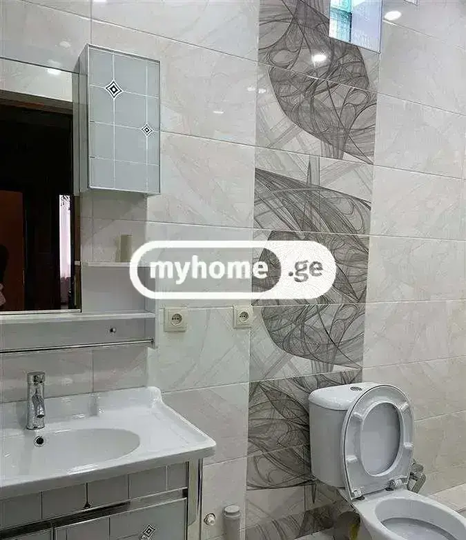 For Rent 10+ Room Sastumro Nadzaladevshi, 10 of 11