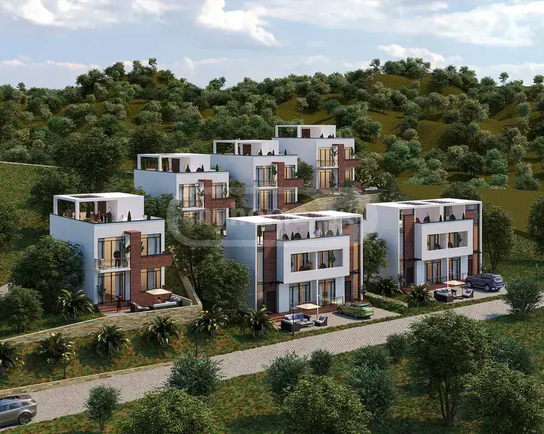 For Sale Ara Sasoplo-Sameurneo Land Plot In Batumi view 2