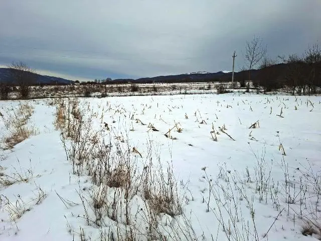 იყიდება მიწა / ნაკვეთი Tianetis Munitsipalitetshiში view 4
