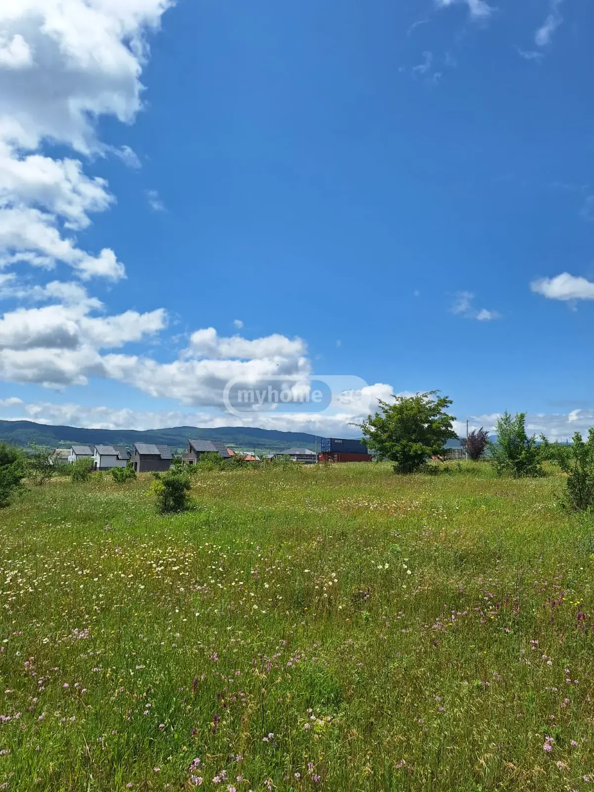 For Sale Sasoplo-Sameurneo Land Plot Dushetis Munitsipalitetshi view 6