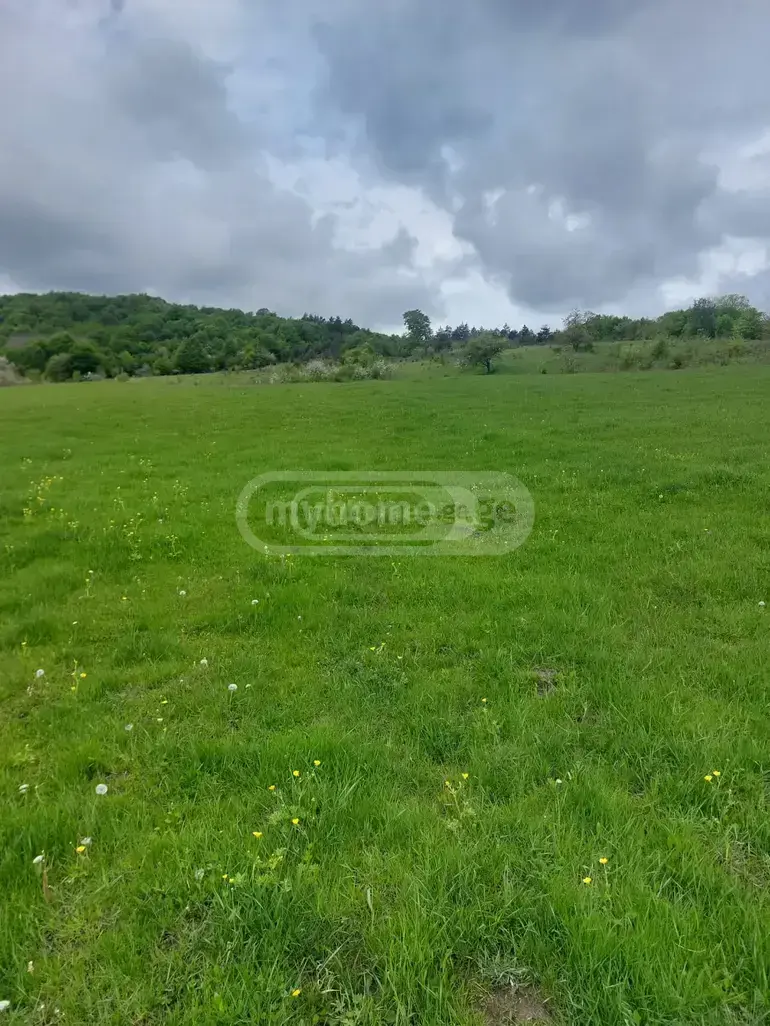 Продажа Земля / участок в Tianetis Munitsipalitetshi view 1