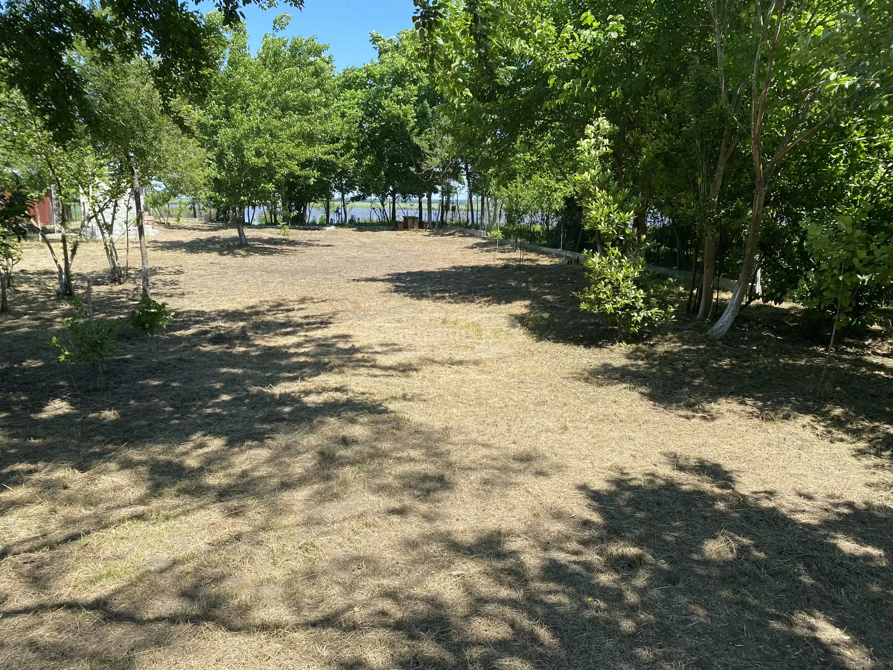 For Sale Ara Sasoplo-Sameurneo Land Plot Potshi view 10