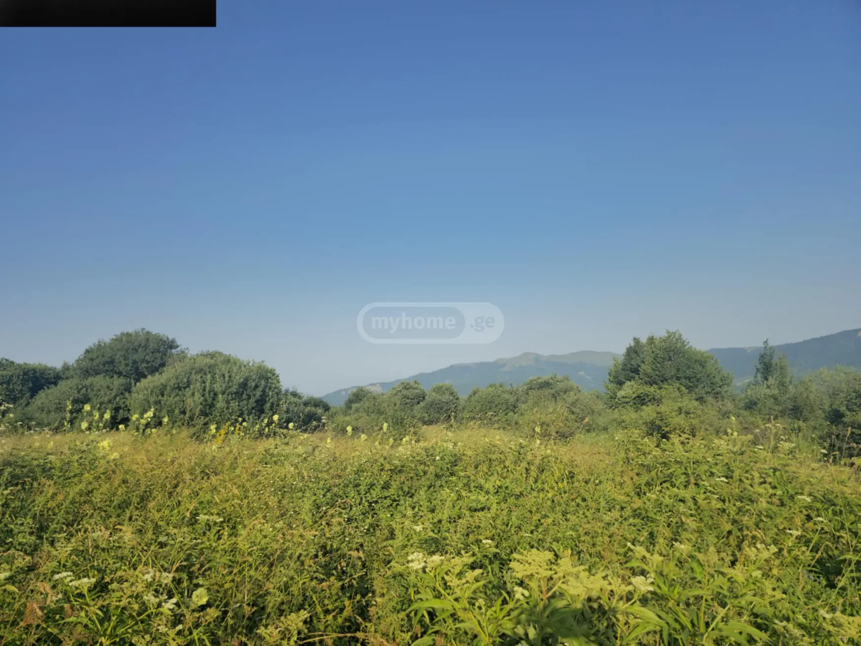 For Sale Sasoplo-Sameurneo Land Plot Telavis Munitsipalitetshi view 3