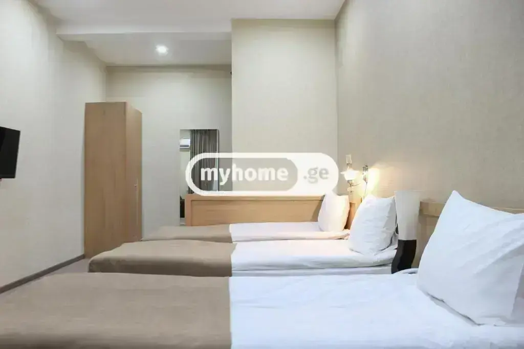 For Rent 10+ Room Sastumro In Didi Dighomi, 6 of 11