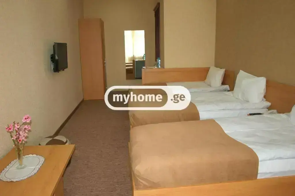 For Rent 10+ Room Sastumro In Didi Dighomi, 4 of 11