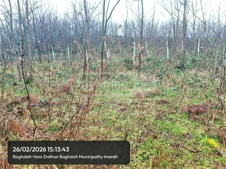 Продажа Земля / участок в Baghdatshi view 1